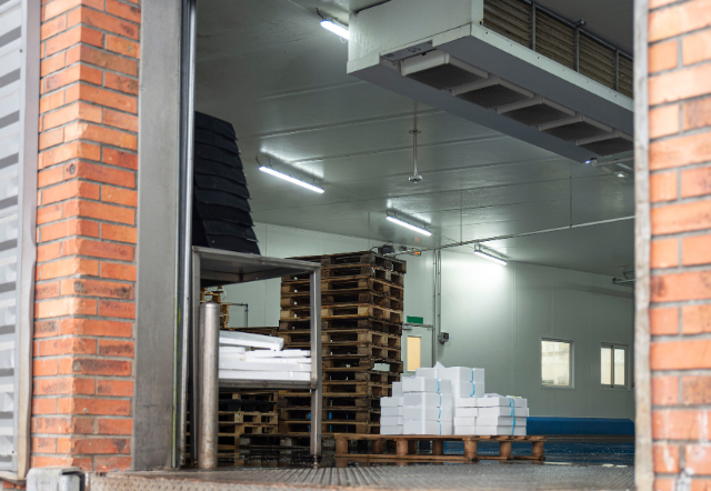 Untitled design (27)