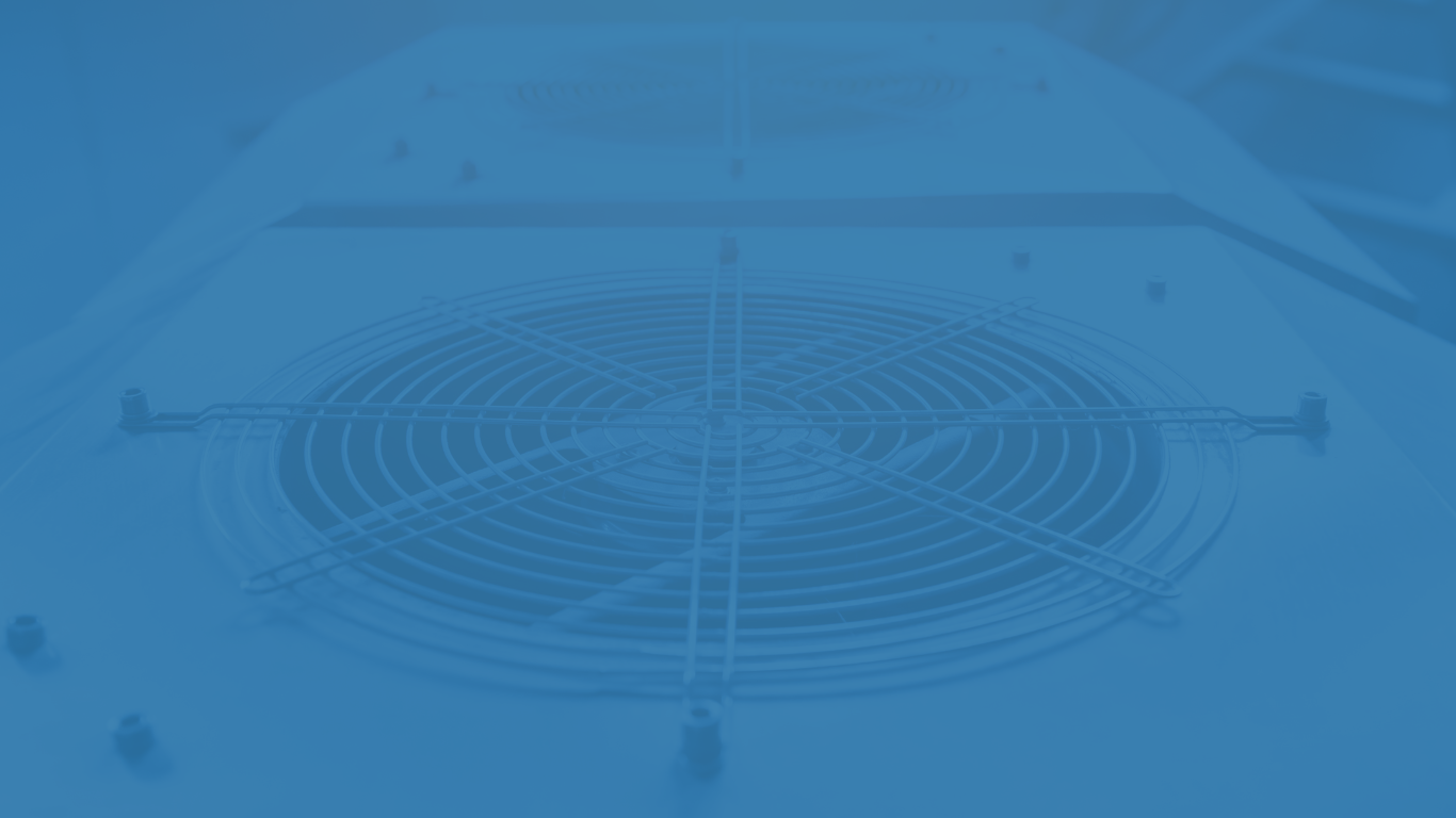 Untitled design (33)